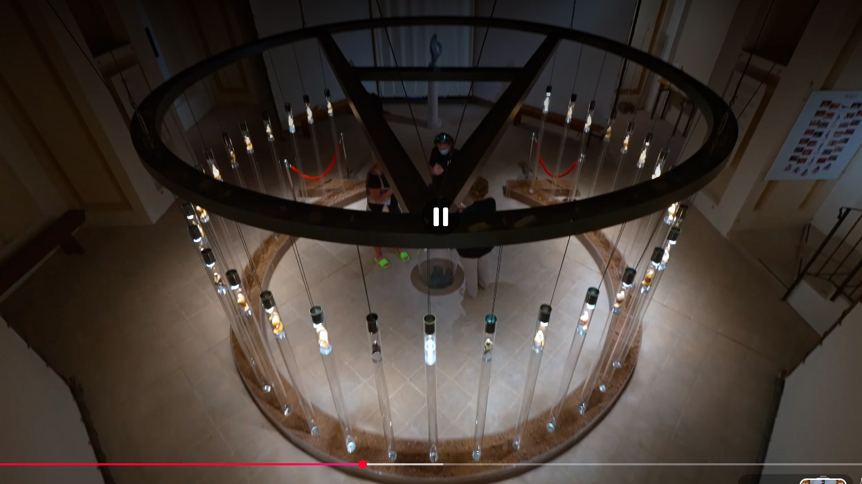 Maria Vision TV:  Santa Maria delle Rose Assisi
